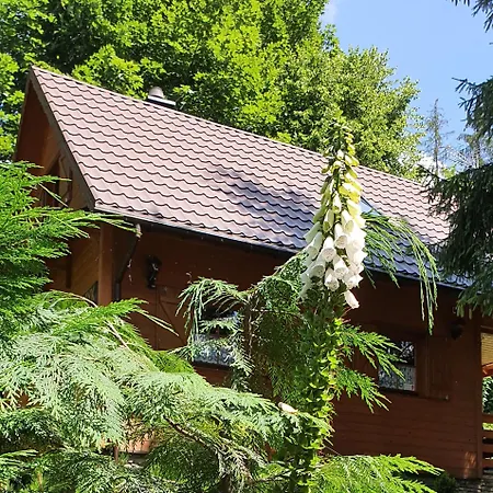 Holiday home Gorski Promyk *