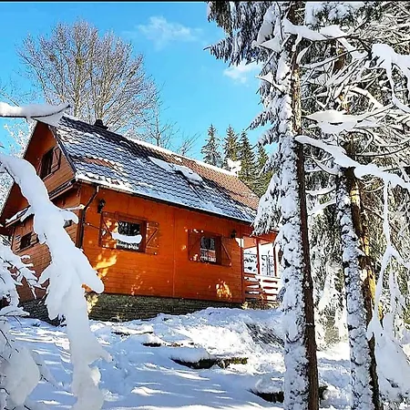 Gorski Promyk,wisla Prázdninový dům
