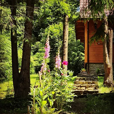 Gorski Promyk,wisla * Visla