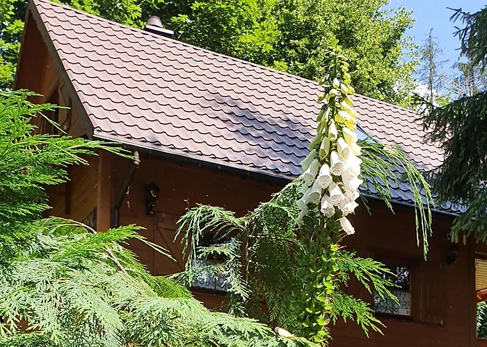 Prázdninový dům Gorski Promyk,wisla *