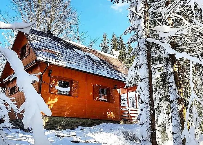 Gorski Promyk,wisla Prázdninový dům