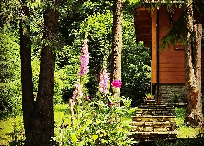 Gorski Promyk,wisla * Visla